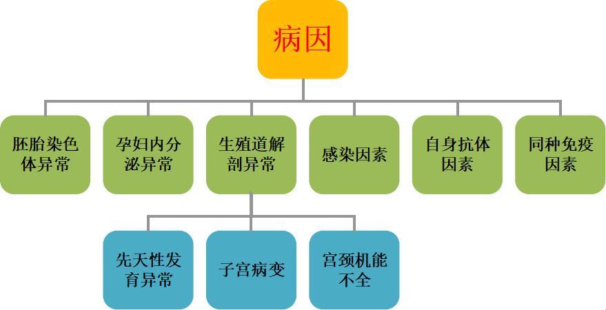 “孕气”不佳，自然流产的滑稽真相