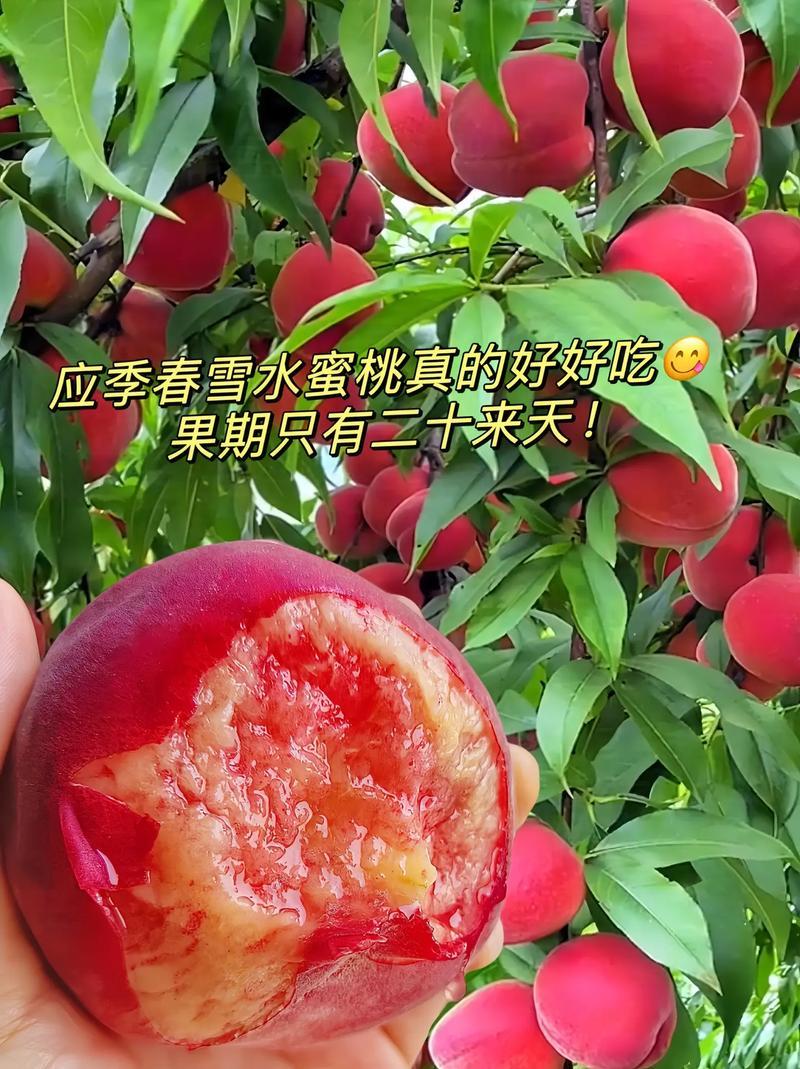 “蜜”桃惊吓，女神界的“甜蜜”炸弹！