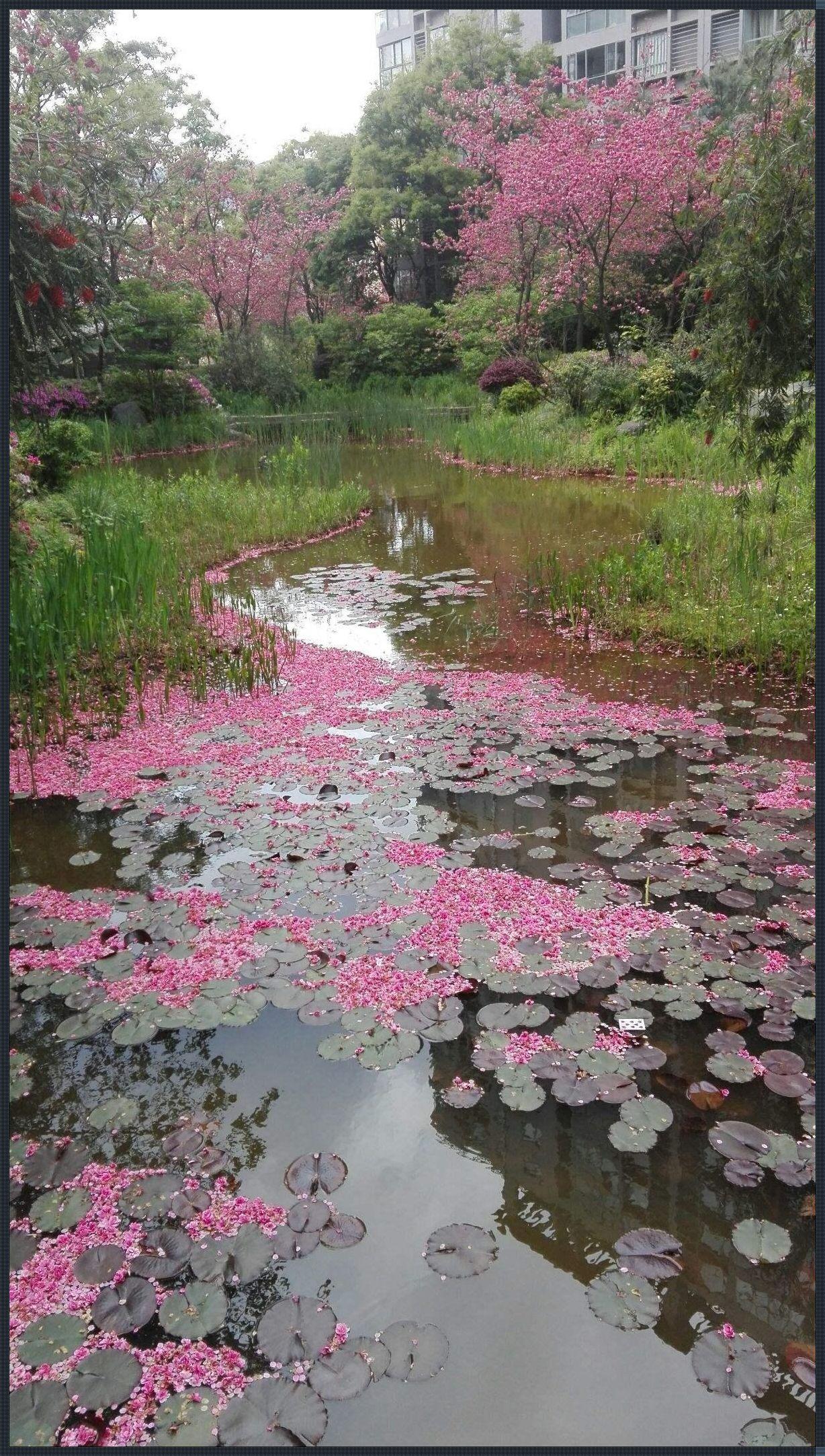 《花饮潮涌，笑谈“流水”新风尚》