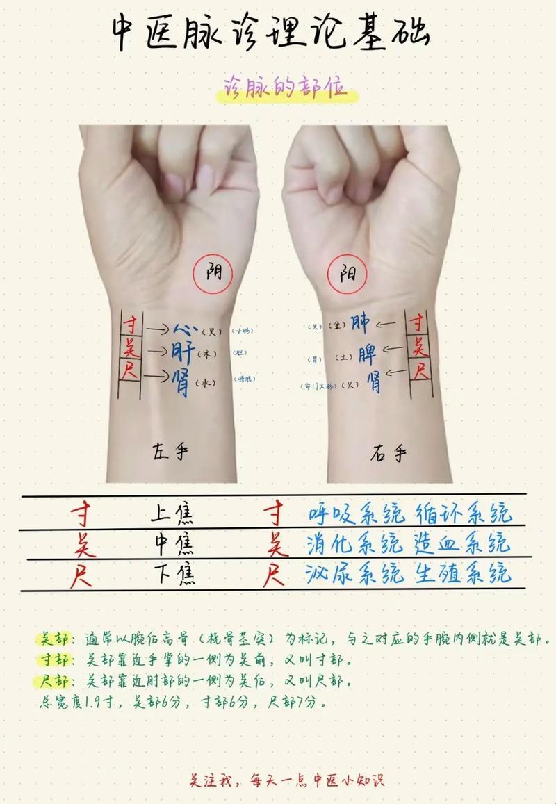 中医把脉，真的能透视全身疾病吗？