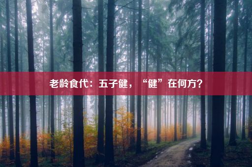 老龄食代：五子健，“健”在何方？