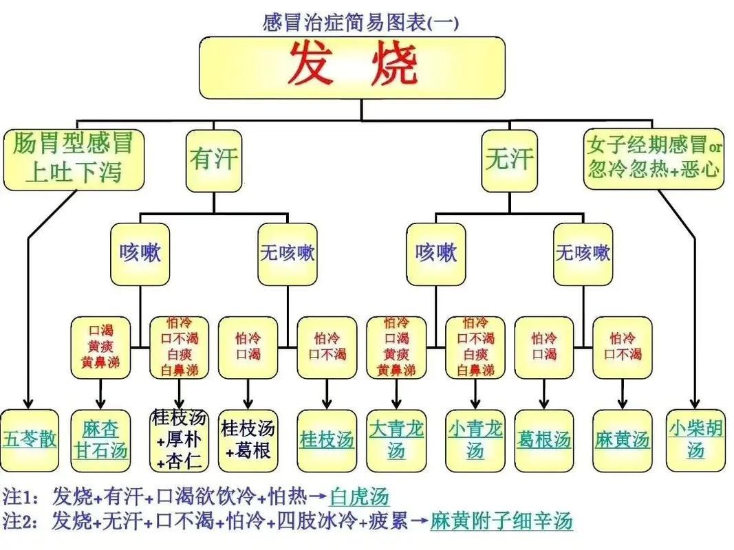 中医角度看发烧：一场火的试炼，一次生命的飞跃！