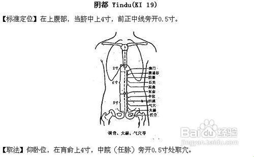 任督冲脉的准确位置图，哦，你还在找呢？