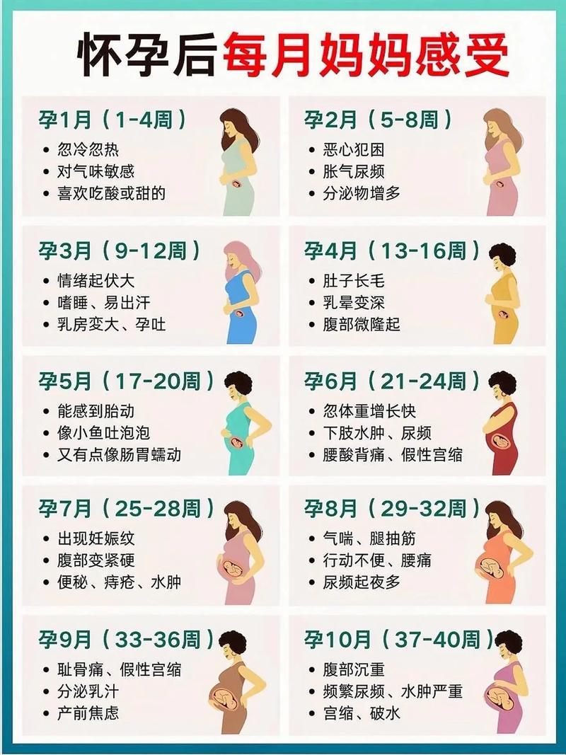 女性怀孕那点事儿：最佳时期大揭秘！