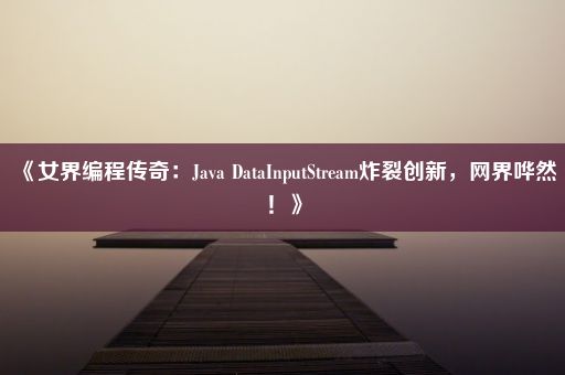 《女界编程传奇：Java DataInputStream炸裂创新，网界哗然！》