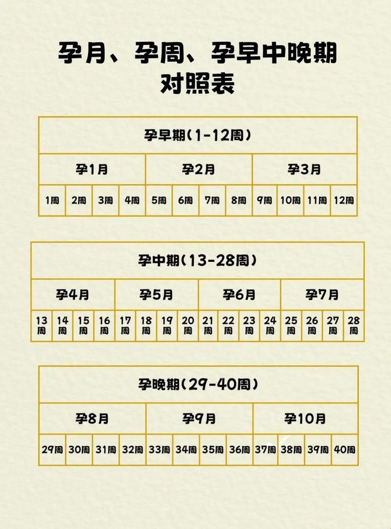 “孕妇一个月长几斤算正常？揭秘孕期体重增长的‘疯狂’定律”