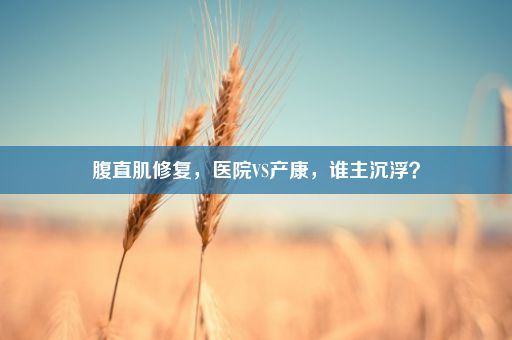 腹直肌修复，医院VS产康，谁主沉浮？