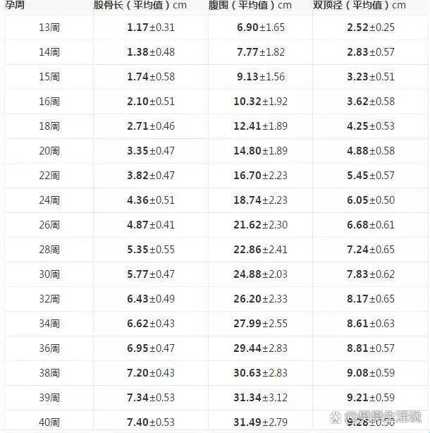 12周宝宝双顶径大揭秘：标准值背后的幽默对比