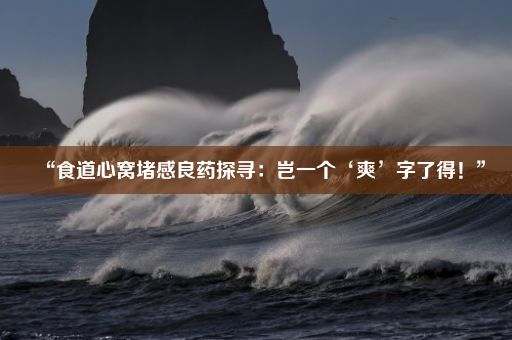 “食道心窝堵感良药探寻：岂一个‘爽’字了得！”