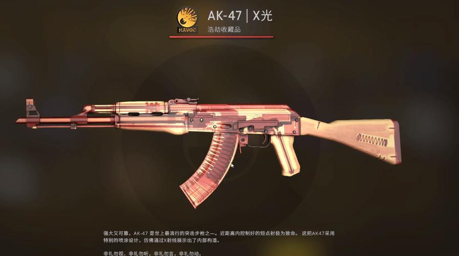 《CSGO大姐姐AWP：美貌与枪法的独特碰撞》