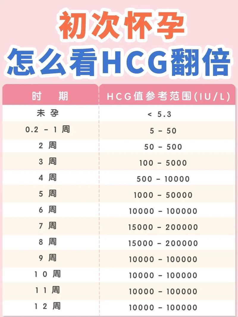 HCG探秘：六周定乾坤，性别之谜笑谈中