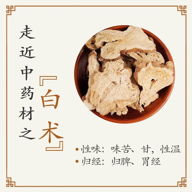 白术奇遇：老便秘的幽默逆袭