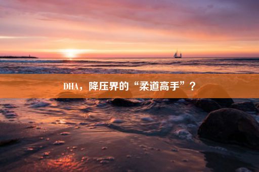 DHA，降压界的“柔道高手”？