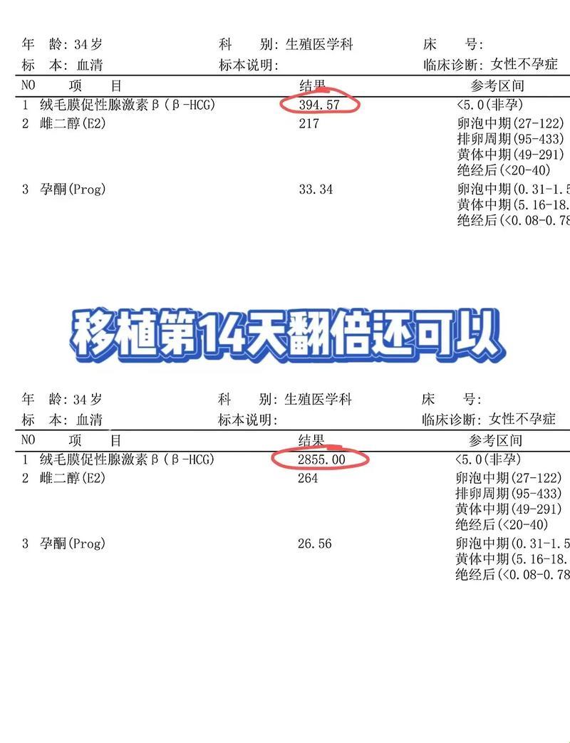 试管婴儿之旅：打HCG后的“血色玩笑”