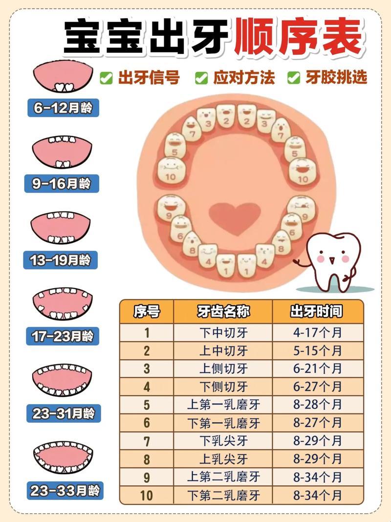 多少岁整牙？搞笑版探索孩子的黄金时机