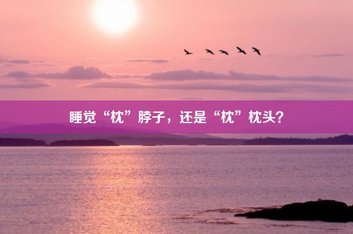 睡觉“枕”脖子，还是“枕”枕头？