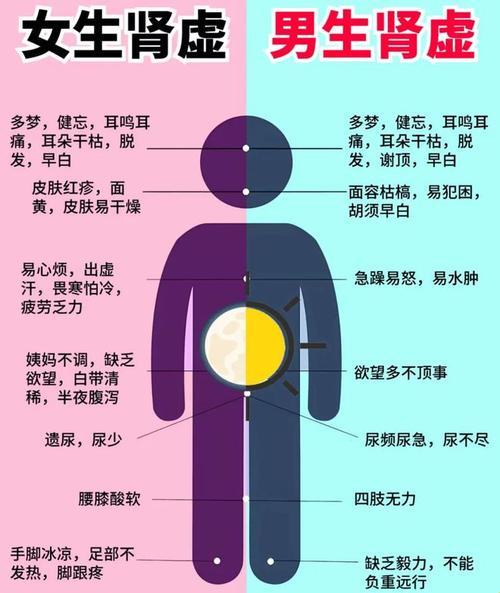 “肾疼还是腰疼？孕妈的‘痛并快乐着’之谜”