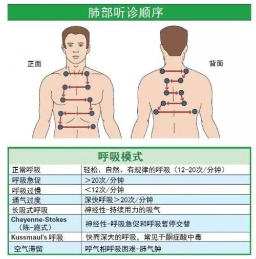 “吸痰前听诊？六个部位图！笑谈江湖医术秘籍”