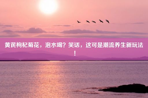 黄芪枸杞菊花，泡水喝？笑话，这可是潮流养生新玩法！