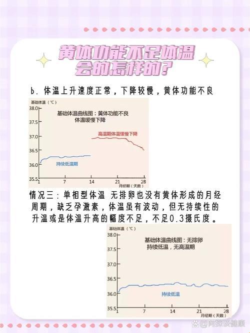 黄到用时方恨少，揭秘自测黄体不足的妙招！