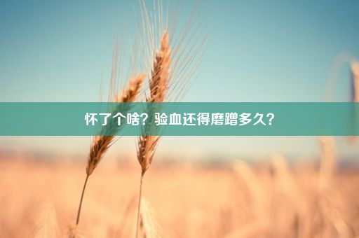 怀了个啥？验血还得磨蹭多久？