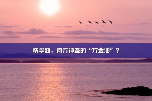 精华油，何方神圣的“万金油”？