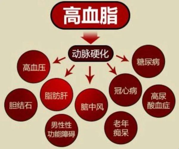 孕期血脂高，原是“幸福肥”的另类诠释