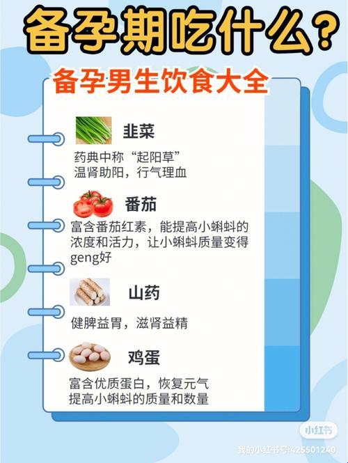 男子汉怀孕秘籍：食疗奇谈