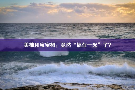 美柚和宝宝树，竟然“搞在一起”了？