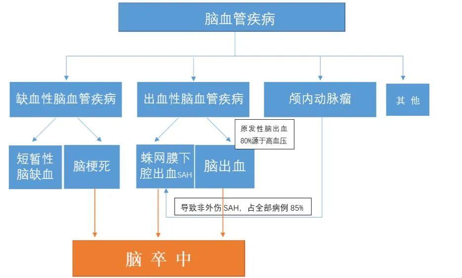 “缺血性脑血管疾病”的奇妙旅行