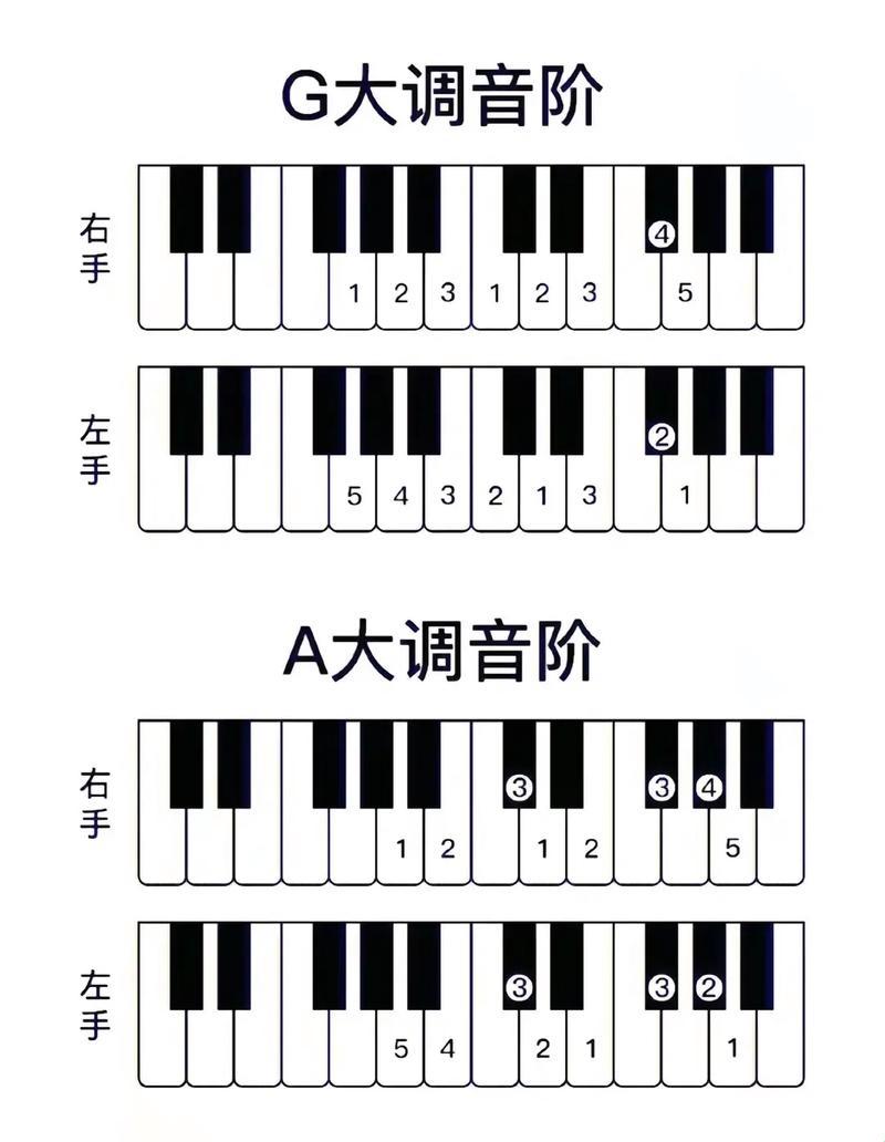 “钢”的疑惑，“琴”的狂欢：选购路上的幽默吐槽