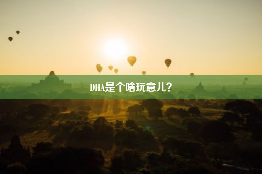 DHA是个啥玩意儿？