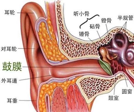 鼓膜穿孔，揭秘那些“耳畔风声”的诡异真相