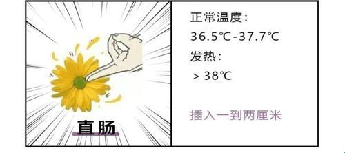 女性体温35℃+：燃情还是伤身？