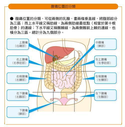 左边小腹疼痛，妈呀，这是要闹哪样？