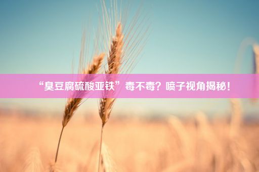 “臭豆腐硫酸亚铁”毒不毒？喷子视角揭秘！