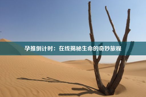 孕推倒计时：在线揭秘生命的奇妙旅程