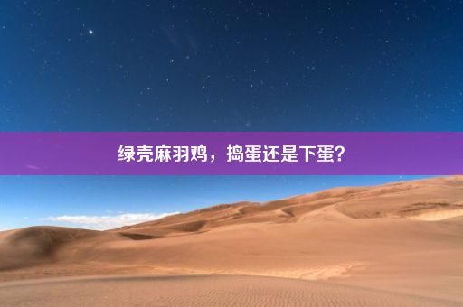 绿壳麻羽鸡，捣蛋还是下蛋？