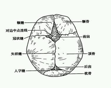 囟门前沿骨头凸起，竟是常态？笑话！