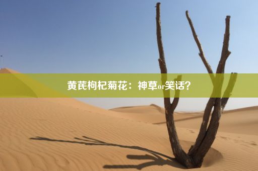 黄芪枸杞菊花：神草or笑话？