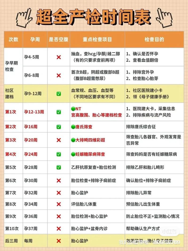 六个月孕检，自嘲式项目清单