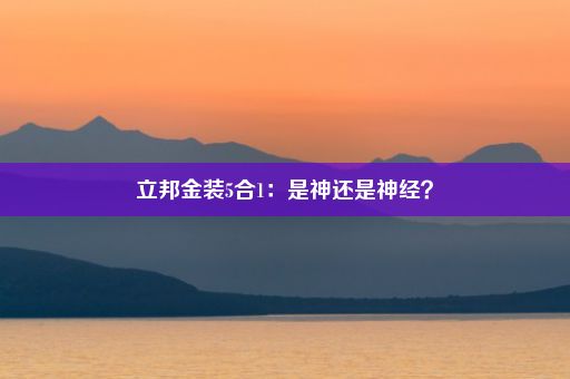 立邦金装5合1：是神还是神经？