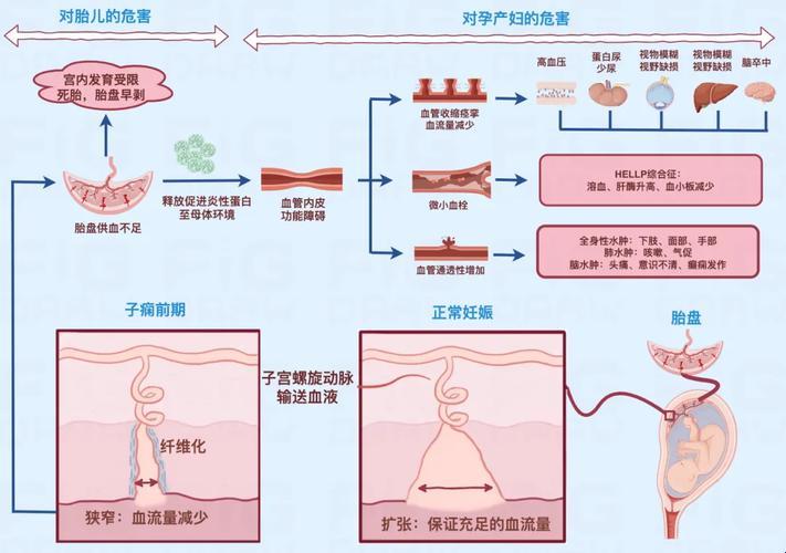 重离子痫乱入江湖，笑看风波治疗路