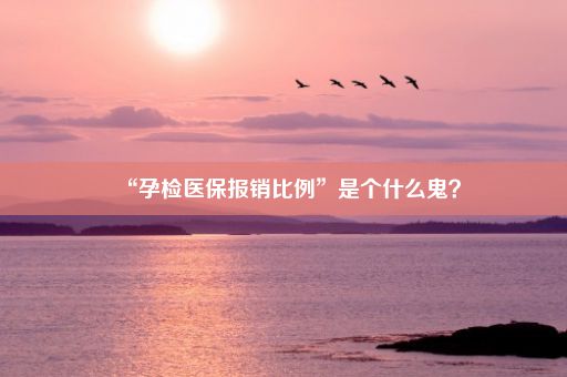 “孕检医保报销比例”是个什么鬼？